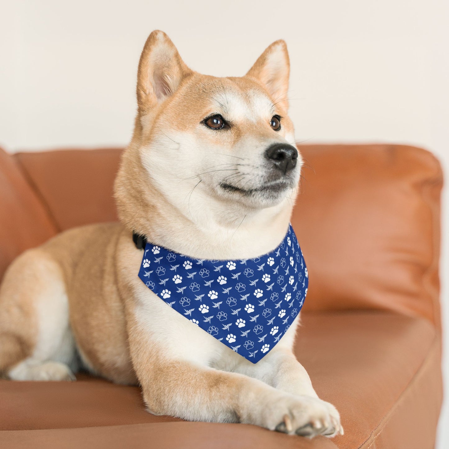 Pet Bandana Collar